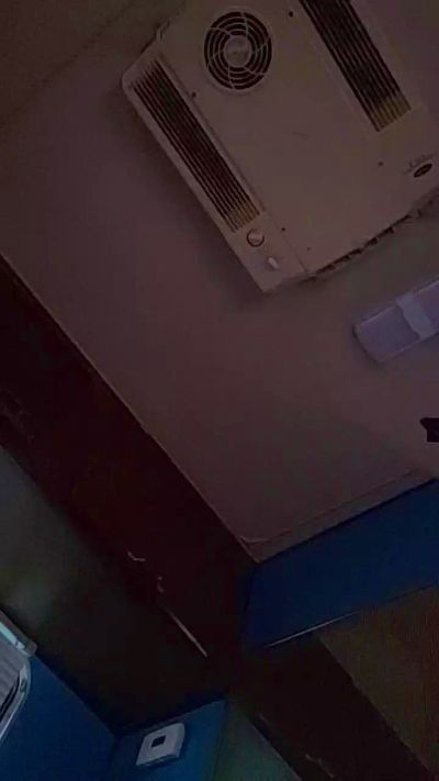 Bearfoot95 live from United States