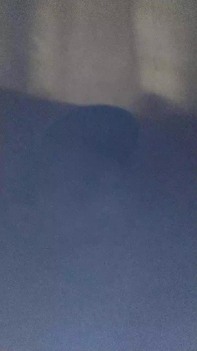 Boy288270 live from Brazil