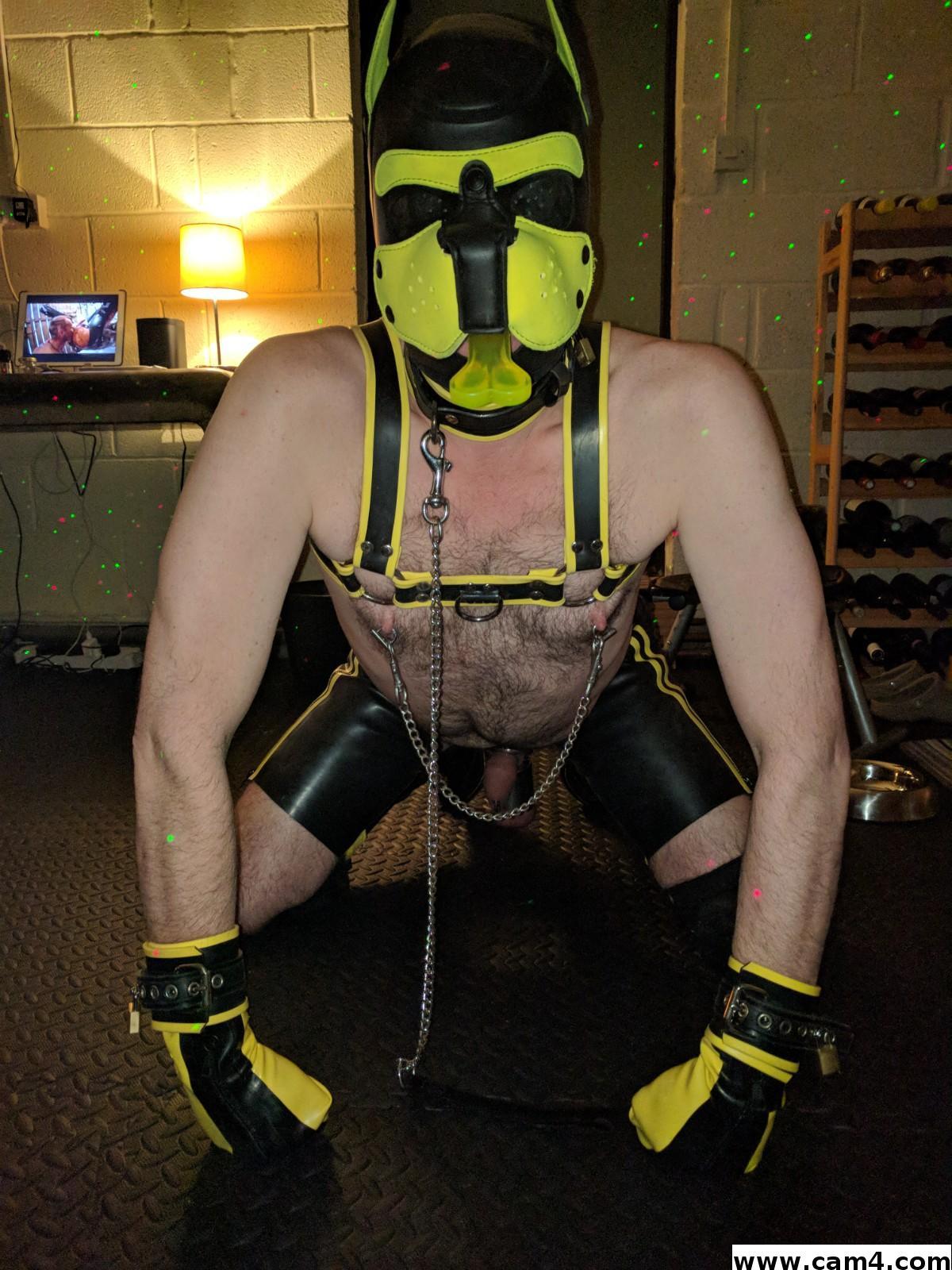 Latexdog live from United Kingdom