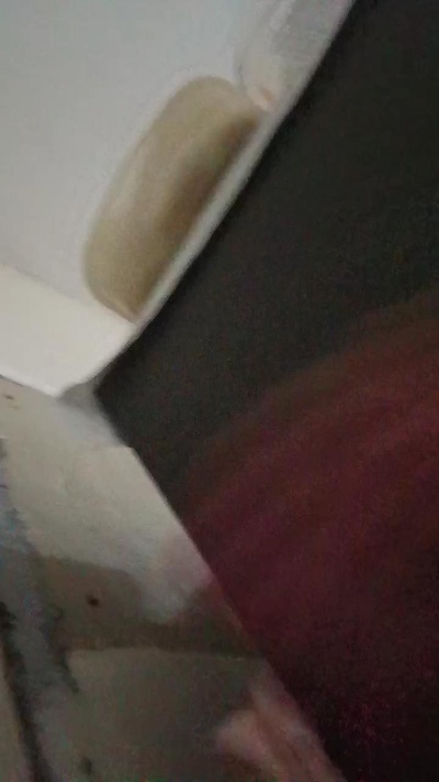Solteiroc live from Brazil