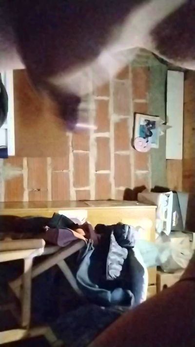 Stomrache live from Argentina