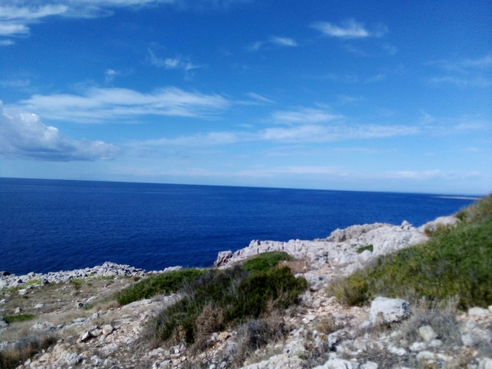 briga571 live from Italy