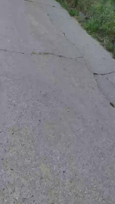 ichEnzian76 live from Germany