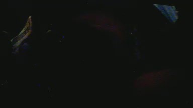 julinhor live from Brazil