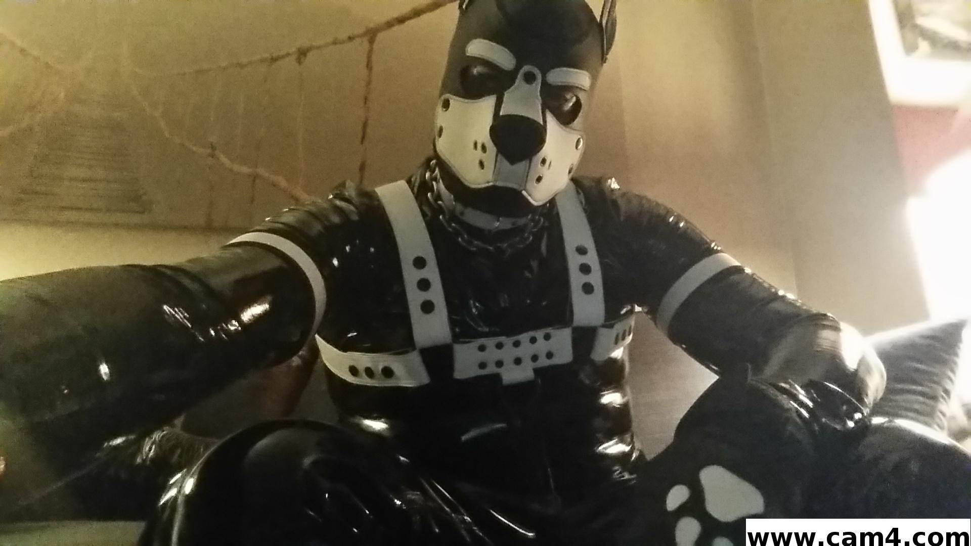 rubberfly Profile Image
